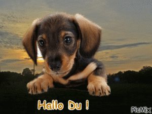 bilder hallo du
