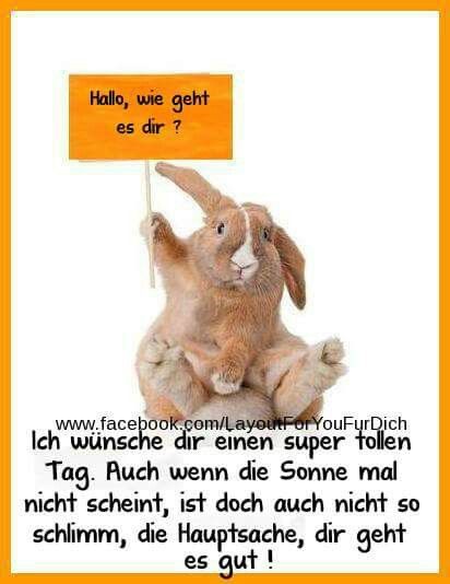 ᐅ bilder hallo wie geht es dir - Hallo Bilder GB Pics Bilder hallo wie geht es dir 001