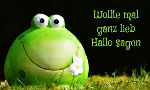 bilder hallo wie gehts