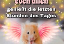ᐅ bilder schönen abend - Feste / Anlässe GB Pics