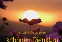 ᐅ bilder schönen dienstag - Gute Nacht GB Pics