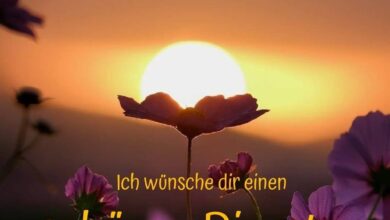 ᐅ bilder schönen dienstag - Dienstag GB Pics