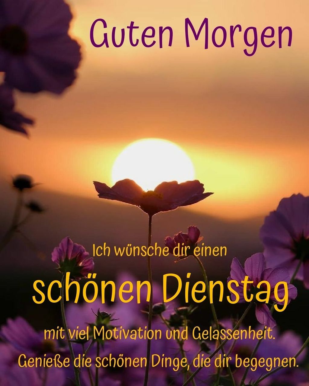 Das Geheimnis des perfekten Sauerteigbrots