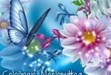 ᐅ Bilder Schönen Nachmittag Kostenlos - Guten Morgen GB Pics