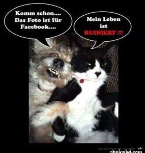 bilder von facebook