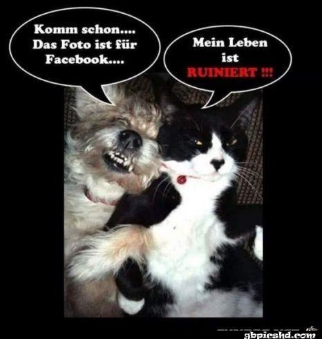 bilder von facebook