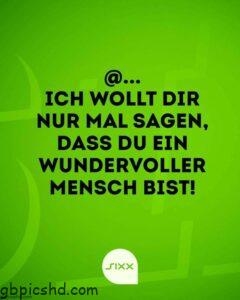 bildergebnis fur sheepworld gruse 2