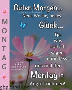 bis montag bilder