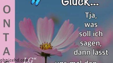 ᐅ bis montag bilder - Montag GB Pics