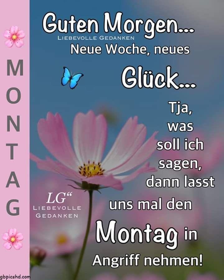 bis montag bilder