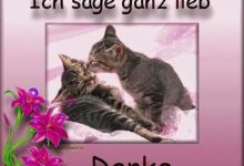 ᐅ Danke Für Den Schönen Nachmittag Bilder - Guten Morgen GB Pics