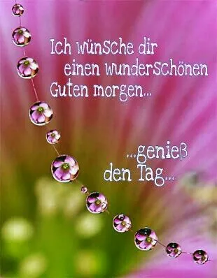 Tropfen auf Blütenblatt mit Wunsch für einen schönen Morgen.