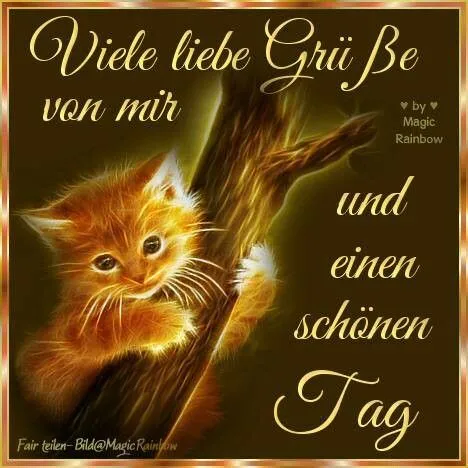 Ein orangefarbener Kater sitzt auf einem Baumstamm mit einem freundlichen Text.