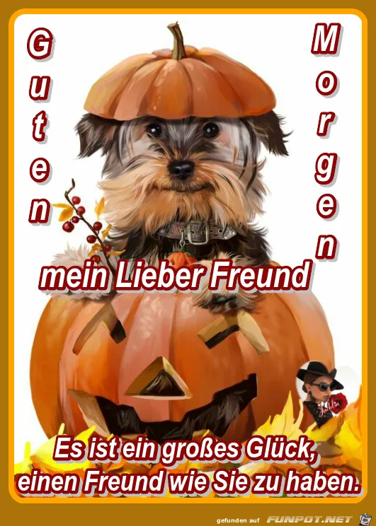 Hund mit Kürbis als Hut, umgeben von herbstlichen Dekorationen. Text: Guten Morgen.