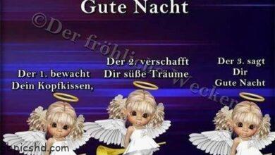 ᐅ der frohliche wecker gute nacht bilder 2 - Gute Nacht GB Pics