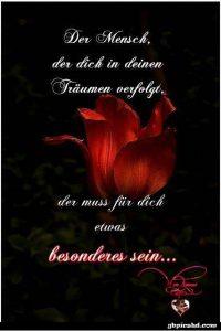 der mensch der dich in deinen traumen verfolgt der muss etwas besonderes sein