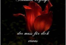ᐅ der mensch der dich in deinen traumen verfolgt der muss etwas besonderes sein - Schönen Abend GB Pics