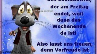 ᐅ der montag bilder - Montag GB Pics