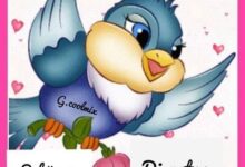 ᐅ dienstag bilder facebook - Urlaub GB Pics