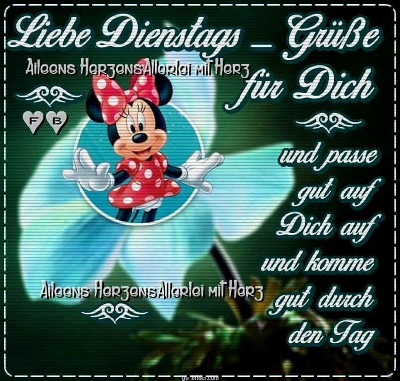 Dienstag Bilder Facebook Katze