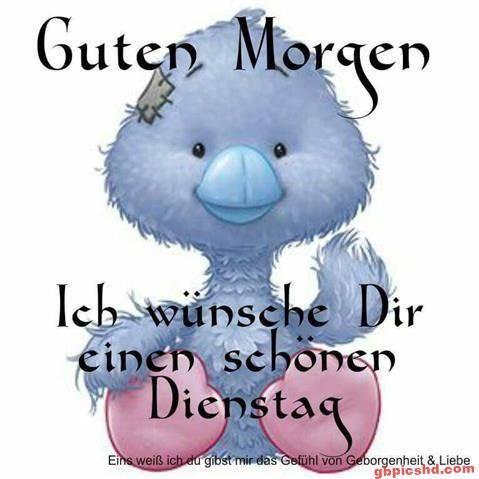 Dienstag Bilder Facebook Hund