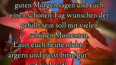 ᐅ dienstag bilder sprüche - Dienstag GB Pics