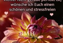 ᐅ dienstag gb pics - Samstag GB Pics