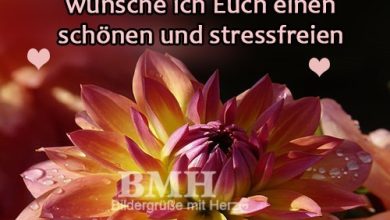 ᐅ dienstag gb pics - Dienstag GB Pics