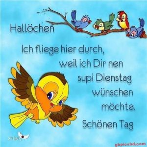 Dienstag Morgen Grüße Bilder zum Wohlfühlen