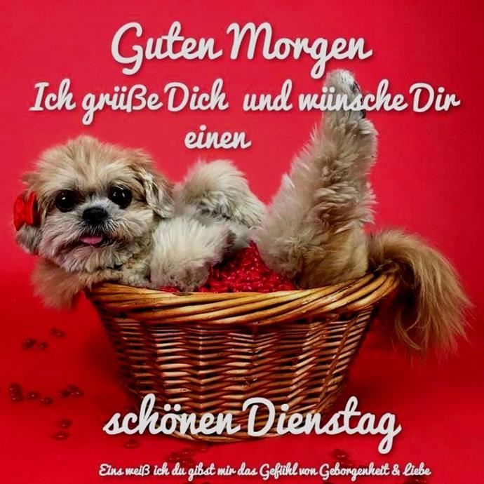 Dienstag morgen grue bilder 002