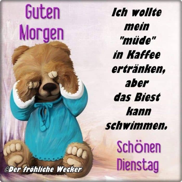 Dienstag morgen grue bilder 005