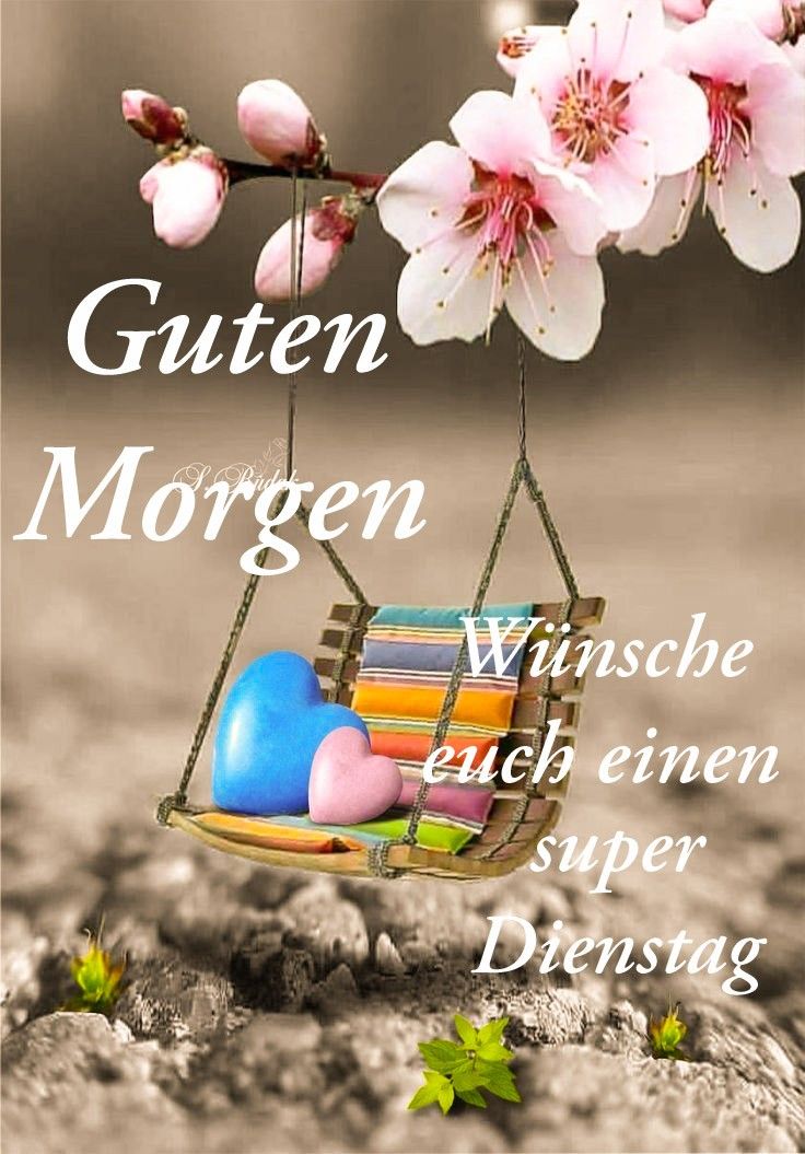 Dienstag morgen grue bilder 006