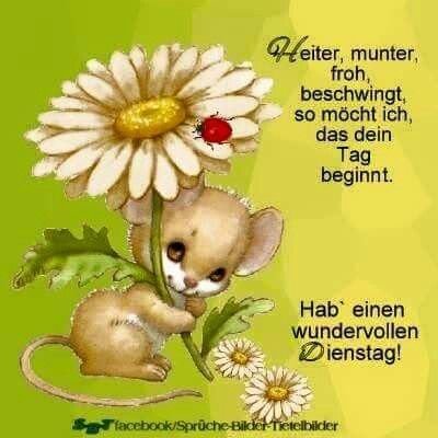 Dienstag morgen grue bilder 013