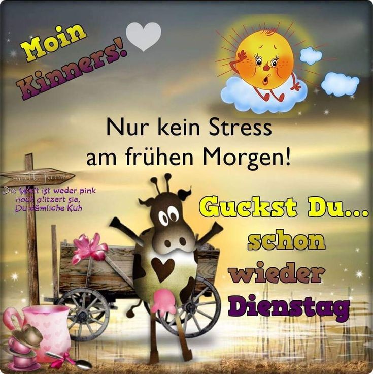 Dienstag morgen grue bilder 015