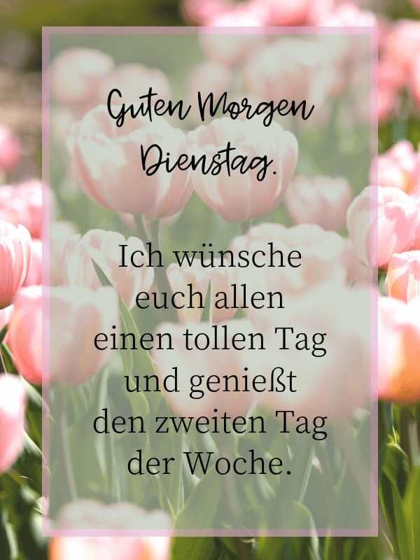 Dienstag morgen grue bilder 016