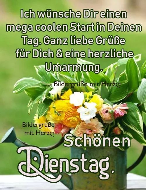 Dienstag morgen grue bilder 024