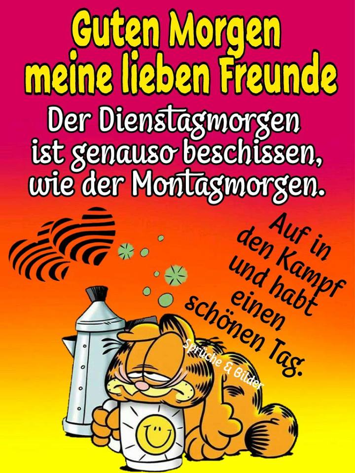 Dienstag morgen grue bilder 034