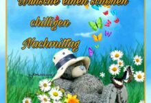 ᐅ Dienstag Schönen Nachmittag Bilder - Prüfung GB Pics