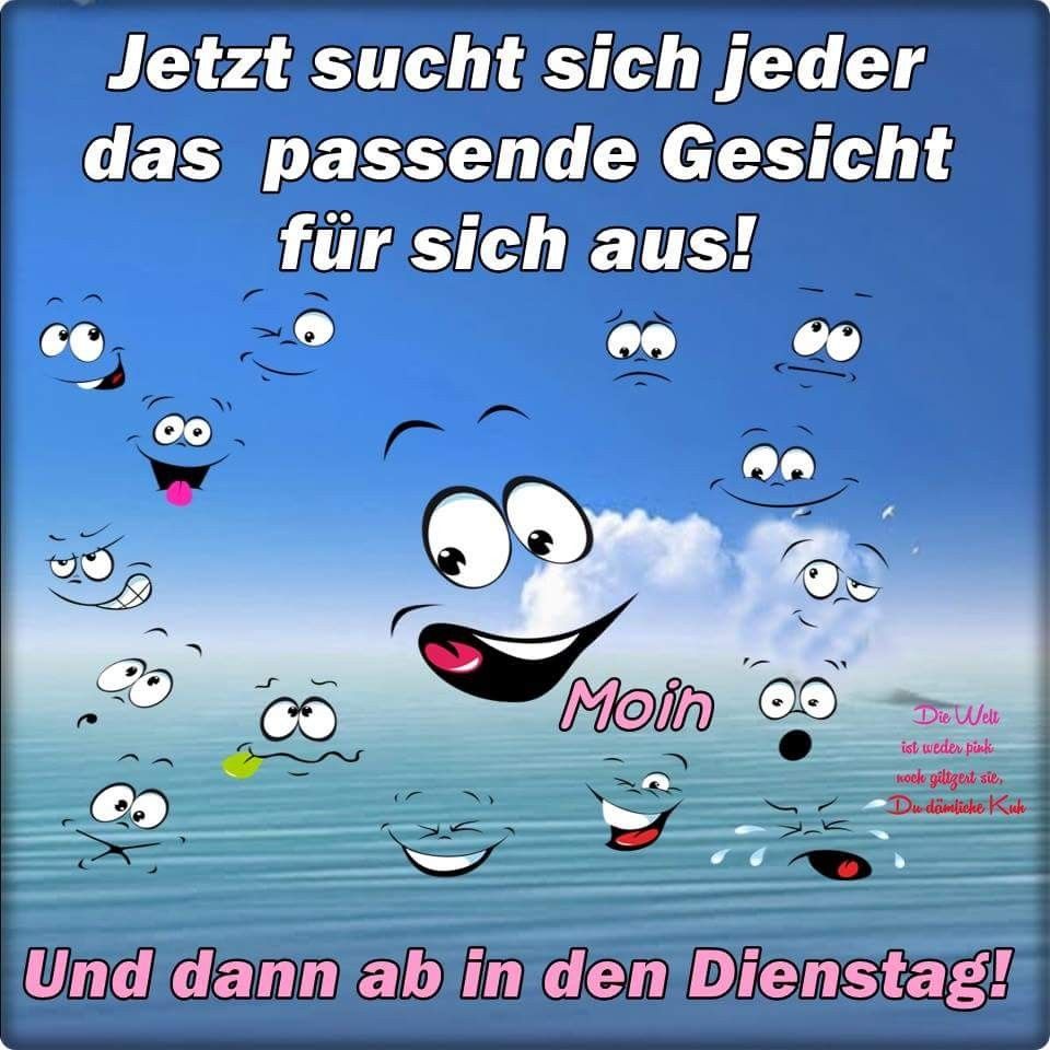 Dienstag Sprüche und Bilder zum Aufmuntern