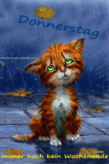 ᐅ donnerstag abend bilder gif - Donnerstag GB Pics donnerstag abend bilder gif