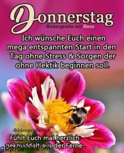 donnerstag gb