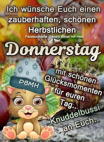 ᐅ donnerstag gb - Donnerstag GB Pics