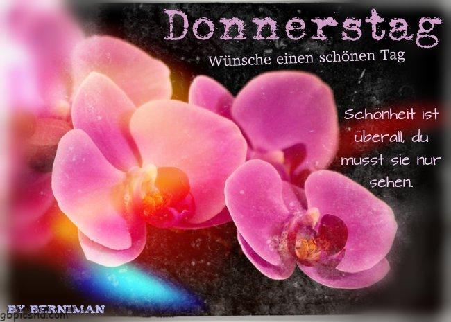 ᐅ donnerstag gb - Donnerstag GB Pics