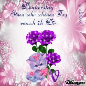 dreamies schonen donnerstag donnerstag dreamies schonen