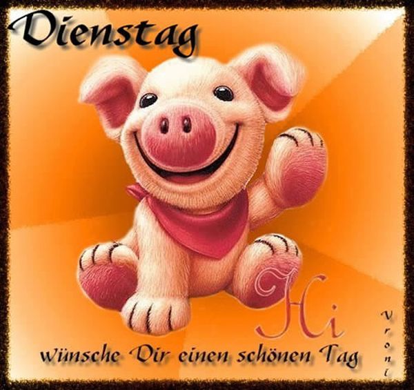 Du bist ja schon wach dann mal schonen dienstag lustige bilder spruch 005