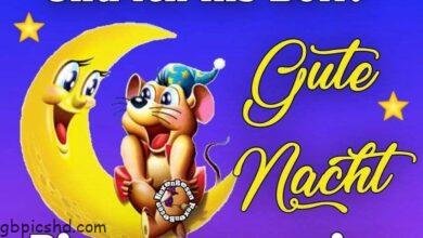 ᐅ ☆✬guten-abend✬☆ - Gute Nacht GB Pics