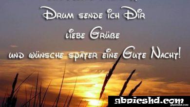 ᐅ ein bild furs herz der tag ist vergangen jpg - Wochentage Bilder GB Pics