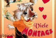 ᐅ ein bild furs herz froehlichen wochenstart jpg eine von 26 date - Donnerstag GB Pics
