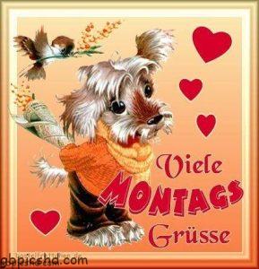 Fröhlicher Wochenstart mit herzlichen Bildern und Grüßen