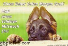 ᐅ ein bild furs herz mittwoch jpg kommentar guten morgen - Gute Nacht GB Pics